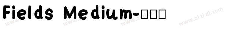 Fields Medium字体转换